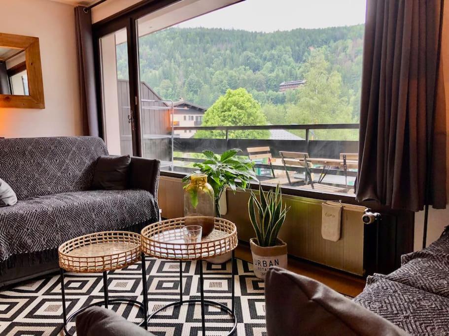 Vue Montage Magnifique 2ch 5mn Piste 3 Appartement